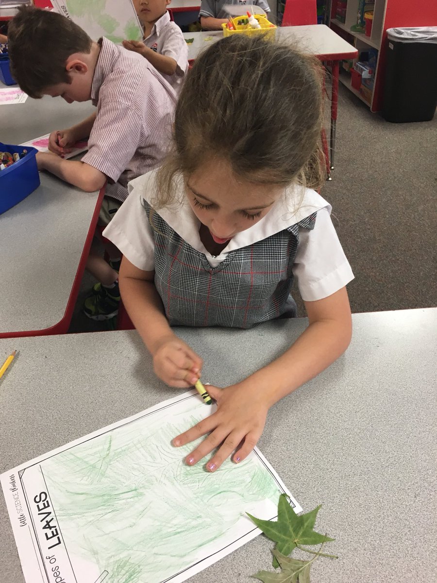 hsessaints's tweet photo. Kinder then makes leaf rubbings with the discoveries outside #OutdoorEducation and #InnovativeLearning at #HSESLowerSchool https://t.co/EZ5fBWxxRd