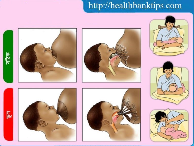 শিশুকে মায়ের দুধ খাওয়ানোর উপকারিতা healthbanktips.com/%e0%a6%b6%e0%a…