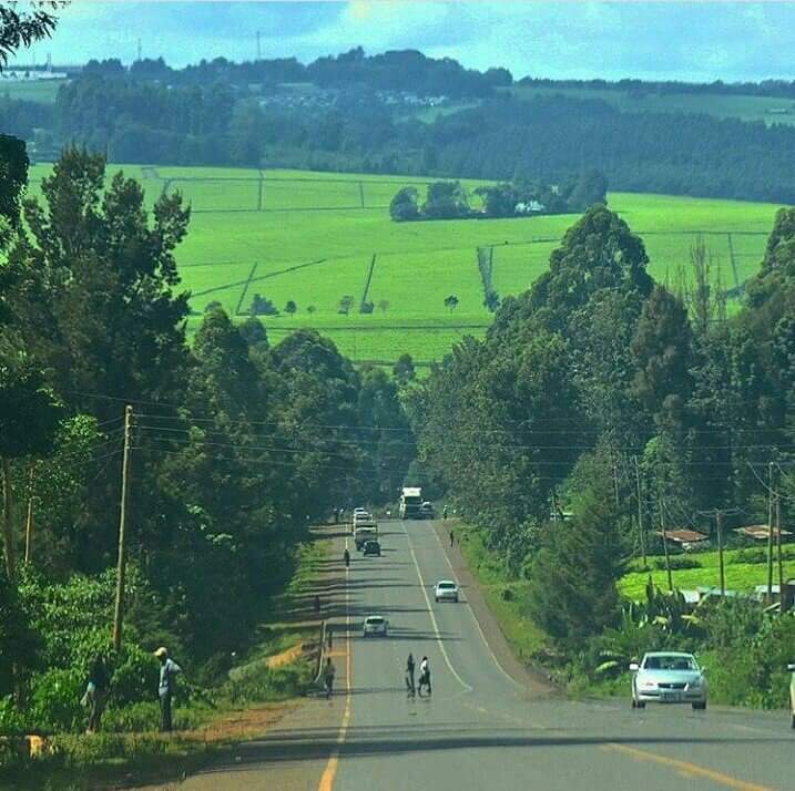 GKariuki_034's tweet photo. Just look at how beautiful Kenya is. What if we had taken care of these forests and improved the Forest cover? Won't we be having a greener and more beautiful view?? #treePlantKe #goGreenBy2022 @KeForestService @Environment_Ke @Tanui_lilly https://t.co/xzDyiy0ovl