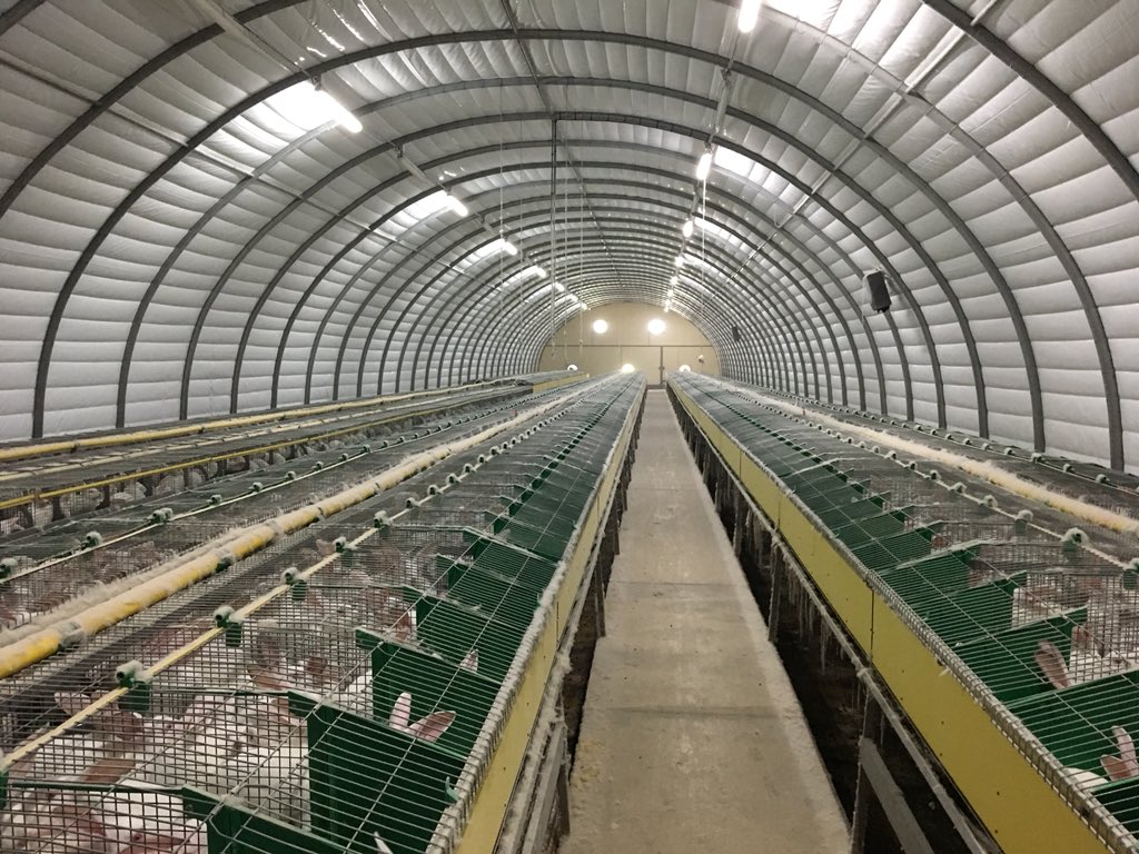 b_guilloteau's tweet photo. Exploitation spécialisée en lapin 🐇 filière @CAVAC_ #CPLB entre Nantes et Montaigu. 100 k€ EBE pour une reprise équivalente à 30k€ d’annuités. Plus d’infos 0620140124 https://t.co/kMu3av8gNF