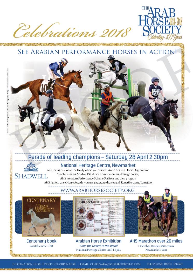 NHRMuseum's tweet photo. Exciting news! The Arab Horse Society will be joining us in the #PeterOSullevan Arena for a Parade at 2.30pm on the 28th April! With 23 Arabian horses on display this will be a sight you won't want to miss! Included in the price of admission, tickets: https://t.co/q40QodHD9Y https://t.co/b3ClrxAhFY