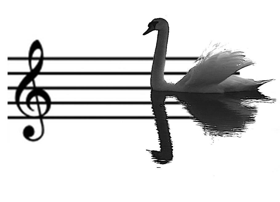 ChapelFM Arts Centre tweet media