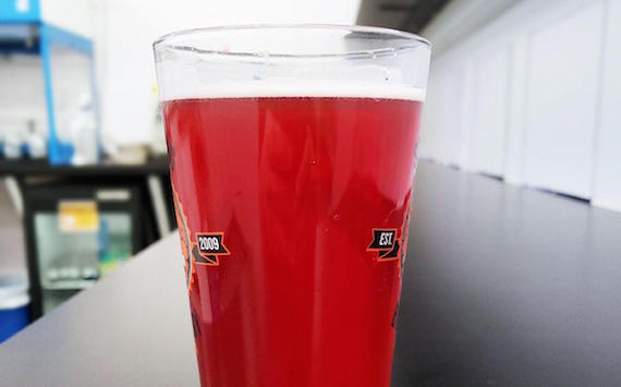 Women craft brewers from around the state came together to brew a special IPA. nuvo.net/food_and_drink…