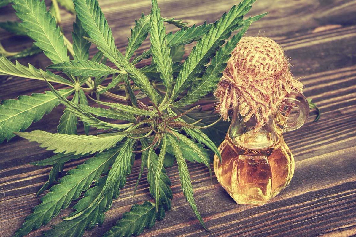 SeedTheWeed's tweet photo. What is Hemp? Your Guide to the Best Plant on the Planet. An interesting read...
https://t.co/2pv1LQu59d

#stw https://t.co/jAAXjC0zM2