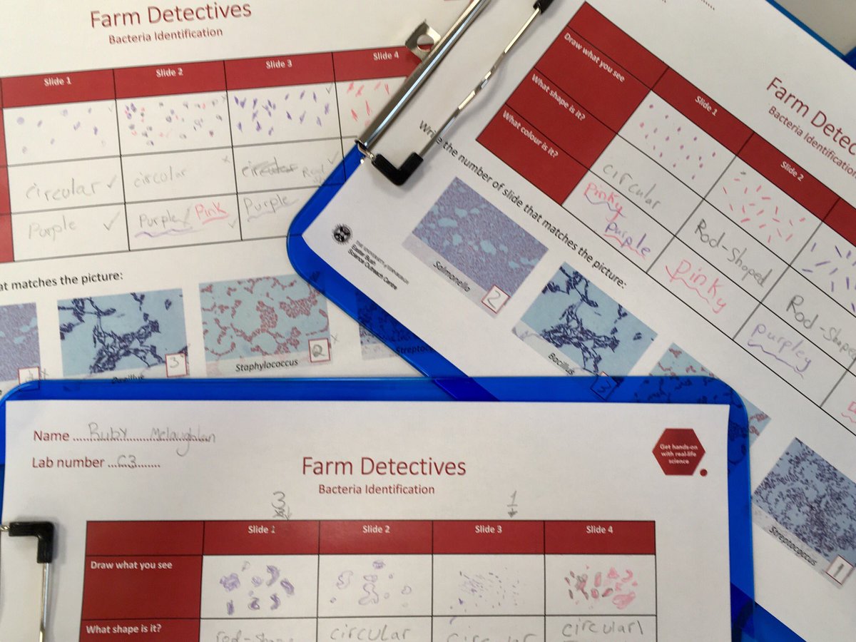 EBSOClab's tweet photo. We had a wonderfully day with Broughton PS @scotborders @DYWBorders They became #FarmDetectives, got hands-on in the lab and quizzed our scientists! https://t.co/I02JPjrXoI
