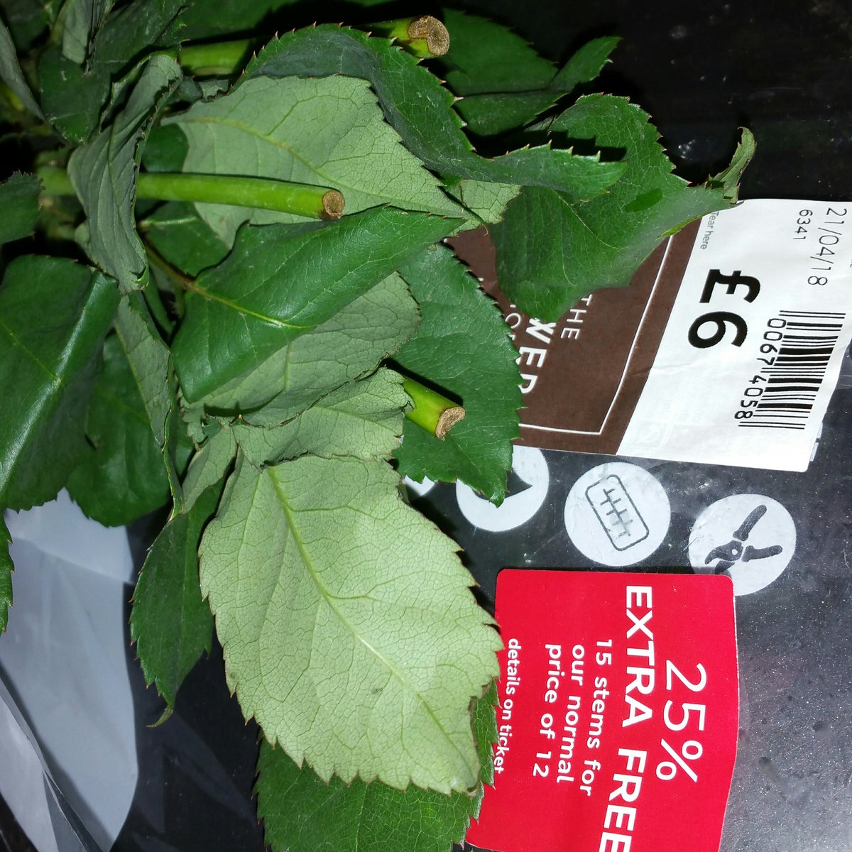 ItsCalledMyMind's tweet photo. @marksandspencer it would have been nice to have roses with the "free stems" as they were for a memorial. Feeling kinda cheated by a store I'm really found of. https://t.co/EErtIdsWn2