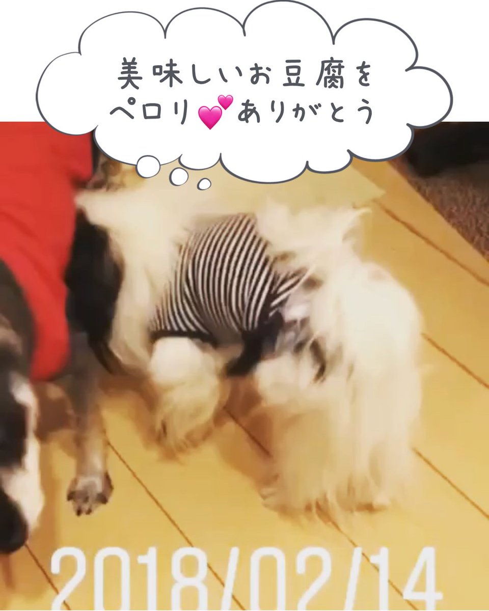野田 かおり
