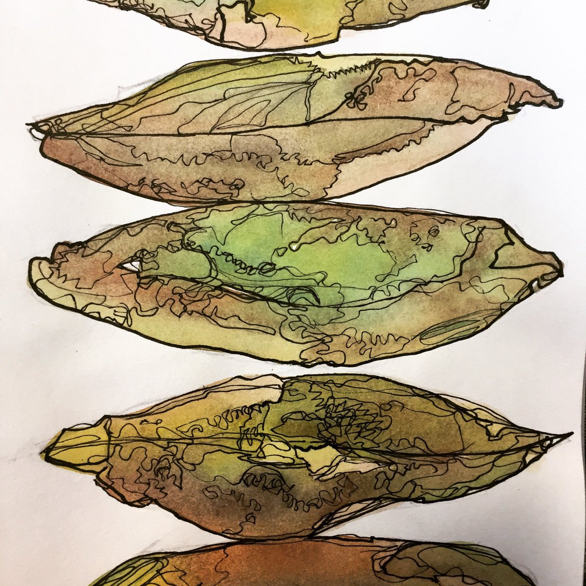 GWarrenDesign's tweet image. Leaves 🍁 Leaf. #Wip #pen #ink #watercolor #drawing #art #design #textiles #surfacepatterndesign #surfacedesign