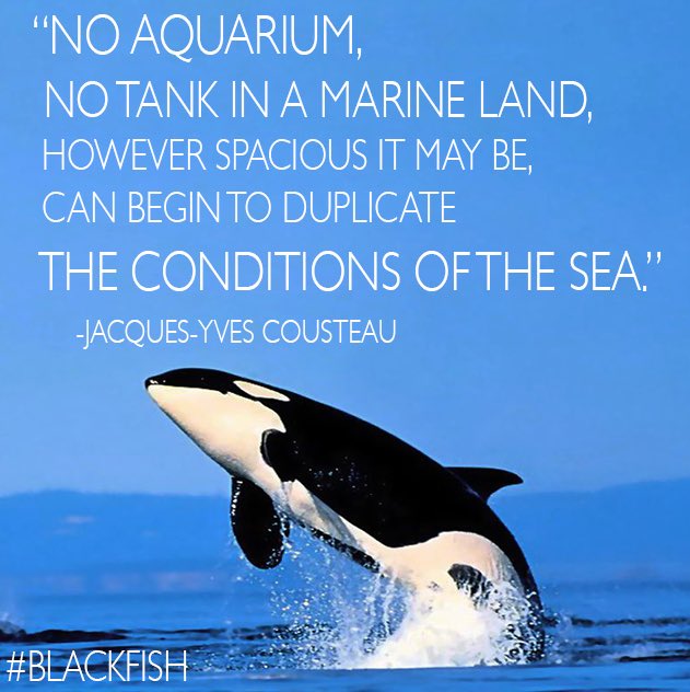 jusjam's tweet photo. Marine land is opening next month... plan to stand in the other side of the fence with us #marineland #boycottmarineland #Captivitykills #blackfish https://t.co/1hSnGKpSjl