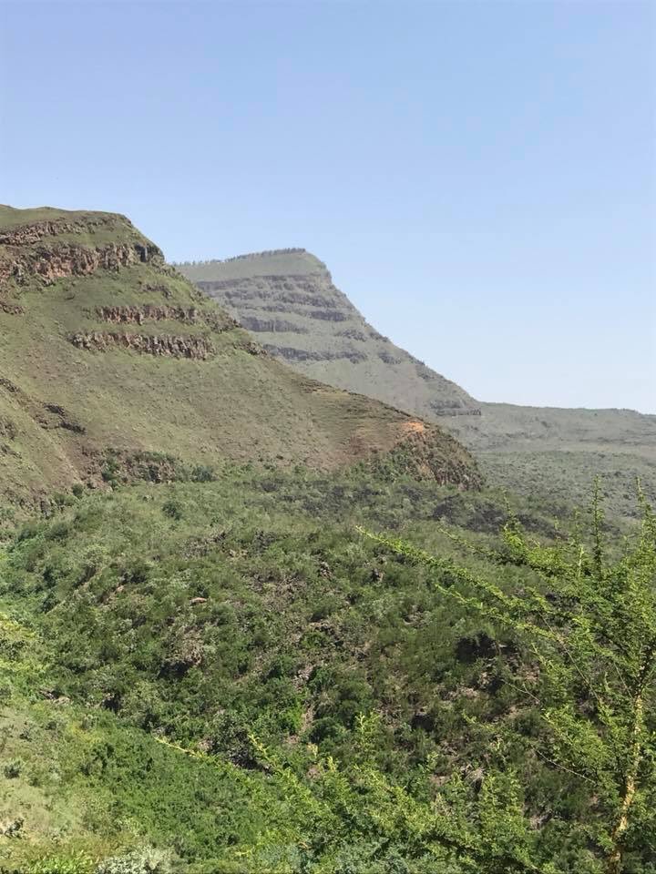 Geology_Helen's tweet photo. Lion Hill from the base of Menengai Caldera east wall at one of the many Solai TVA intersections - Malima Simba kutoka kwa msingi wa ukuta wa mashariki wa Menengai Caldera kwenye mojawapo ya makutano mengi ya Solai TVA https://t.co/1ydvvO4qwn