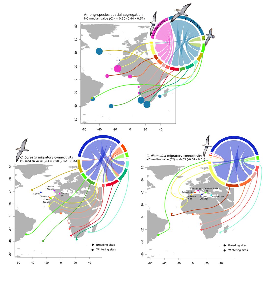 CritterMapper's tweet photo. 3.#TrackDist #WSTC4 In win areas, among sp segregation (↑MC: structure) contrasts with the mixing at sp level (↓MC: no structure). Some implications for conservation: what works for 1 sp might not work for others & impacts in 1 win area might affect several breeding populations https://t.co/CqCd2bUFtf