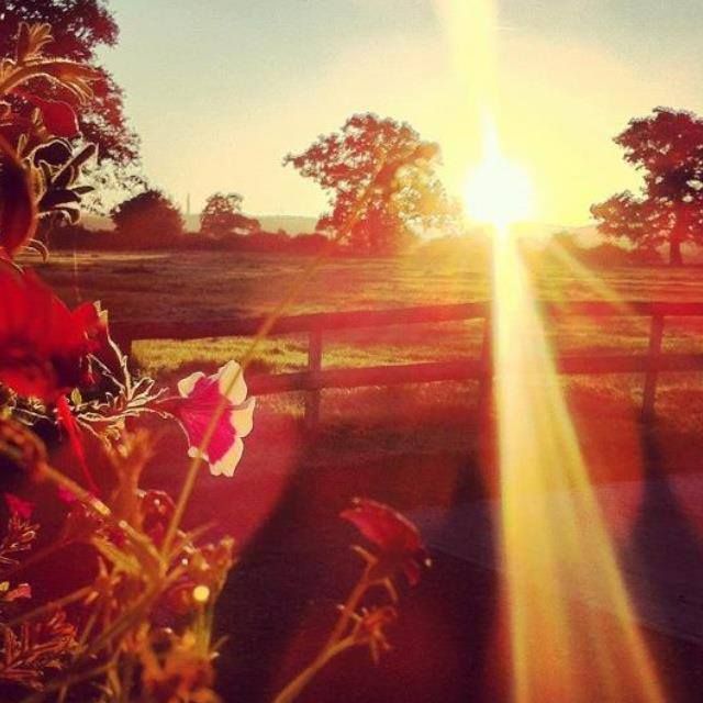 Do you have any questions? 

If so comment below and ask ask ask away! 

Have a great day,

Pillaton Hall Farm