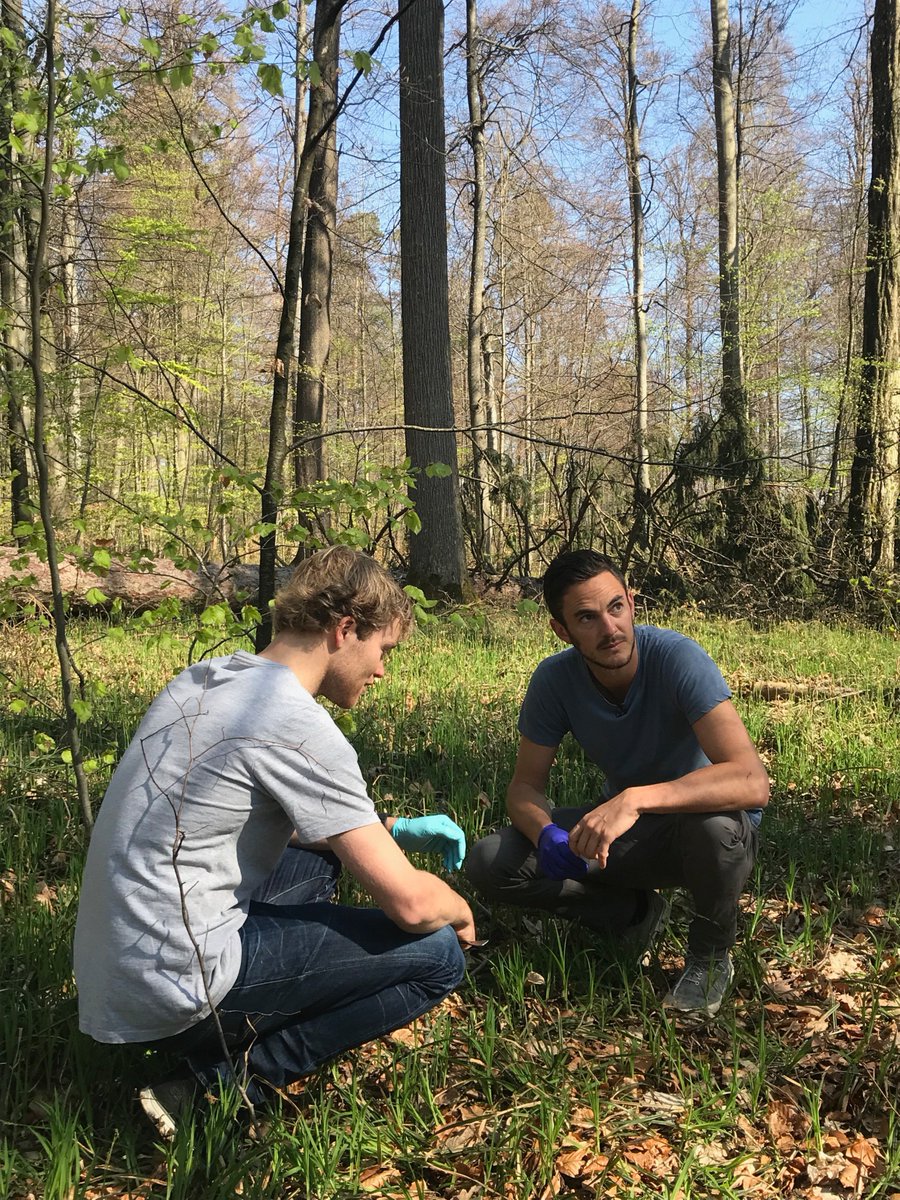 CrowtherLab's tweet photo. The sun was out for #filming today in the #forest. Stadt Mensch contacted us about an interview with Tom and the lab about the work we're carrying out and our slightly unique approaches to life in general. Check out their #website here - https://t.co/jgdRBhZ1BB #labupdates https://t.co/KN7Q9jZiqm