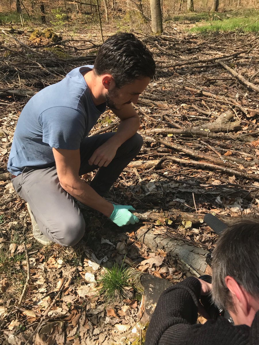 CrowtherLab's tweet photo. The sun was out for #filming today in the #forest. Stadt Mensch contacted us about an interview with Tom and the lab about the work we're carrying out and our slightly unique approaches to life in general. Check out their #website here - https://t.co/jgdRBhZ1BB #labupdates https://t.co/KN7Q9jZiqm