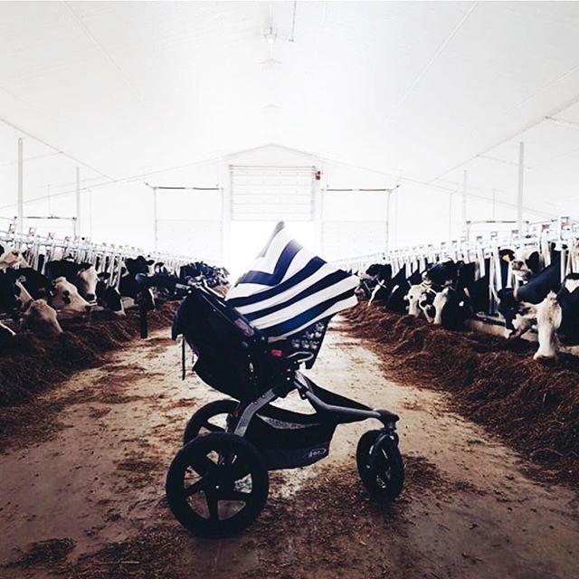 You can never have too much black + white🐄🐄🐄🐄🐄🐄🐄
.
.
.
.
.
.
.
.
#getyourOVeron #modernmom #babymusthave #multiuse #handmadeincanada #freeshipping #carseatcover #nursingcover #momlife #OVermama #itshappyhere #monochrome #diaperbagessentials #baby… ift.tt/2JTKMsr