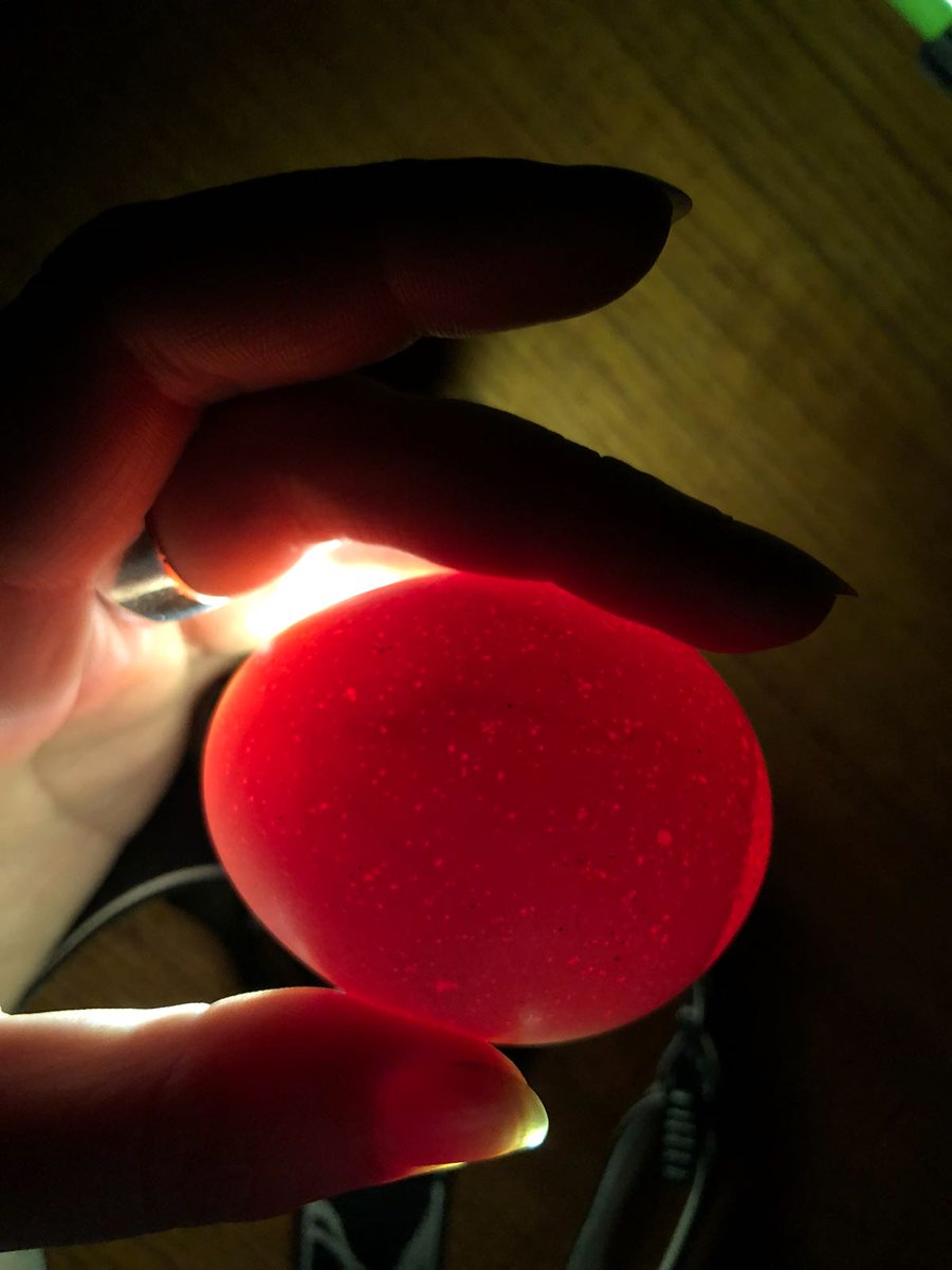 Doehetzelfkip Update: nog 6 dagen broeden... - mailchi.mp/1432e488ef62/d…