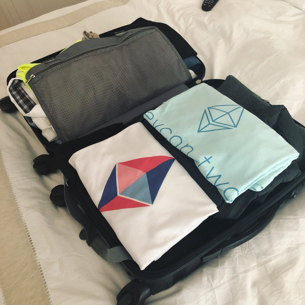 CGS_vote's tweet photo. Packing to @Blockchain_Expo in London! #blockchain #governance #cgsneeded https://t.co/biIdUXCbxY