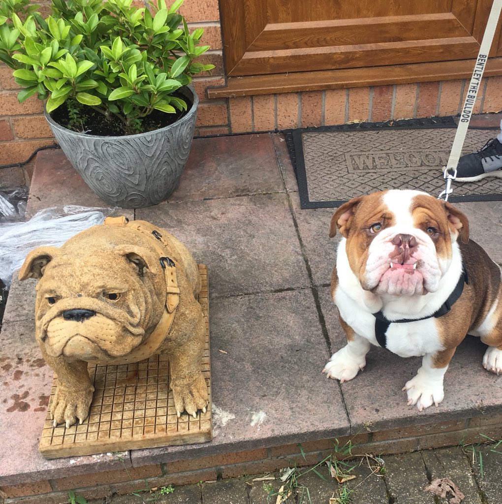 Discount Garden Statues (DiscountStatues) Twitter