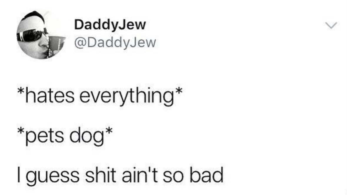 MensHumor's tweet photo. Still hates everything...other than this dog. https://t.co/DqZDGIFwUj