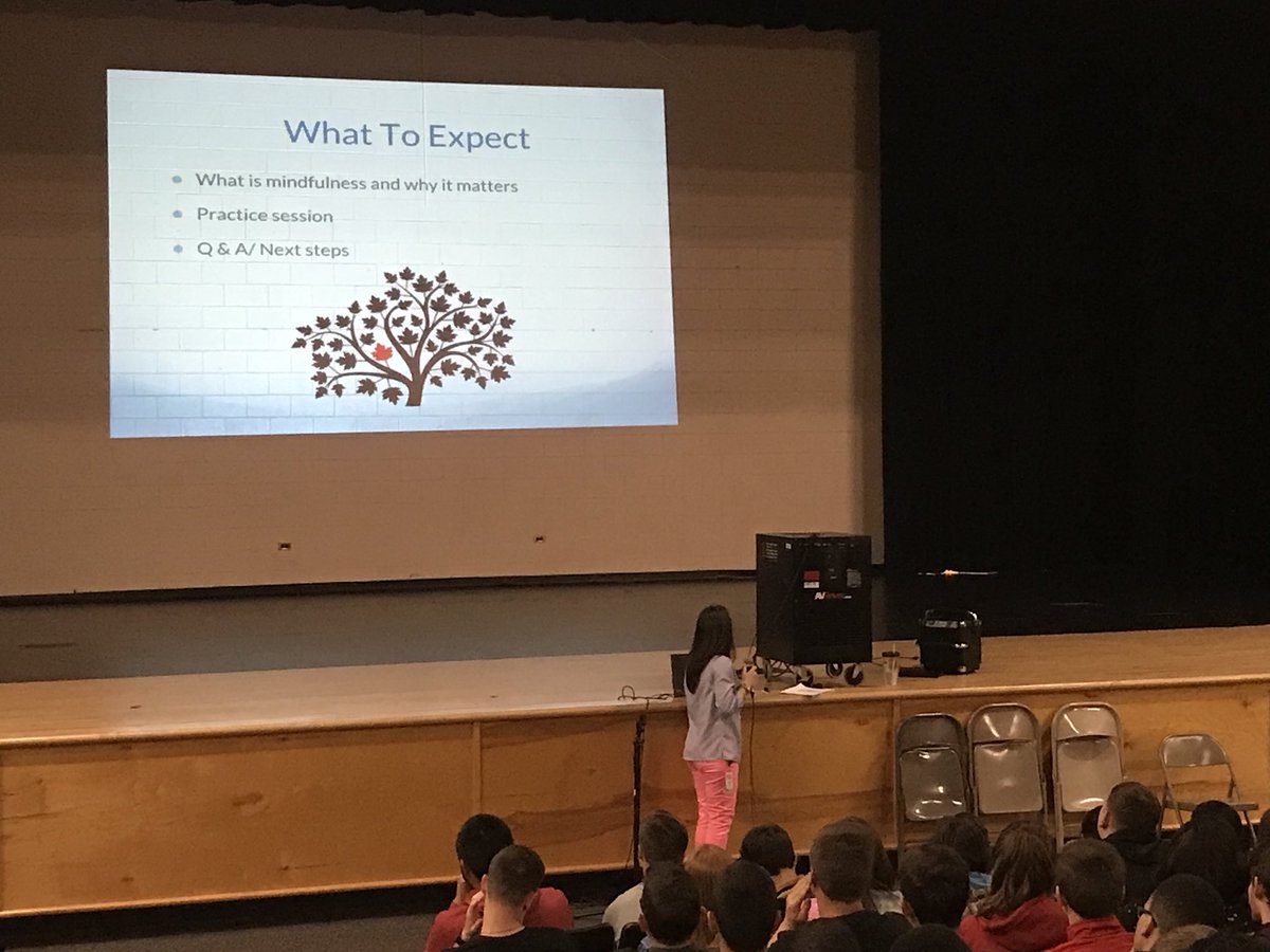 VLeeSpruill's tweet photo. Our @CapeFearHigh1 9th graders during their monthly #FreshmenExperience seminar. Today they discussed #Mindfulness with school counselor @LinvilleCFHS #WeAreCapeFear https://t.co/ZeJimCZ3a0