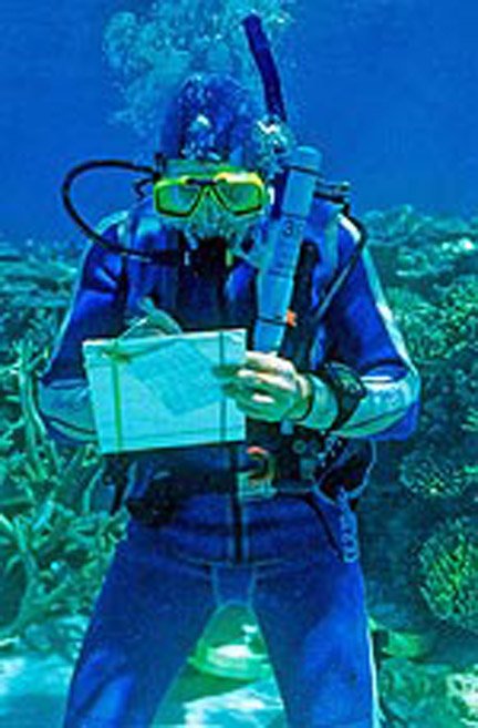 DOICareers's tweet photo. #NowHiring MARINE BIOLOGIST in Jefferson, #louisiana 🌊 #JoinDOITeam @BOEM_DOI and work at Office of the Environment. 🚩This is a Permanent/Full Time position. Apply ➡️https://t.co/FaJwa6gfet @USAJOBS. #BiologistJobs #ScientistJobs #FedJobs
📷@BOEM_DOI https://t.co/1sQYMIr3ku