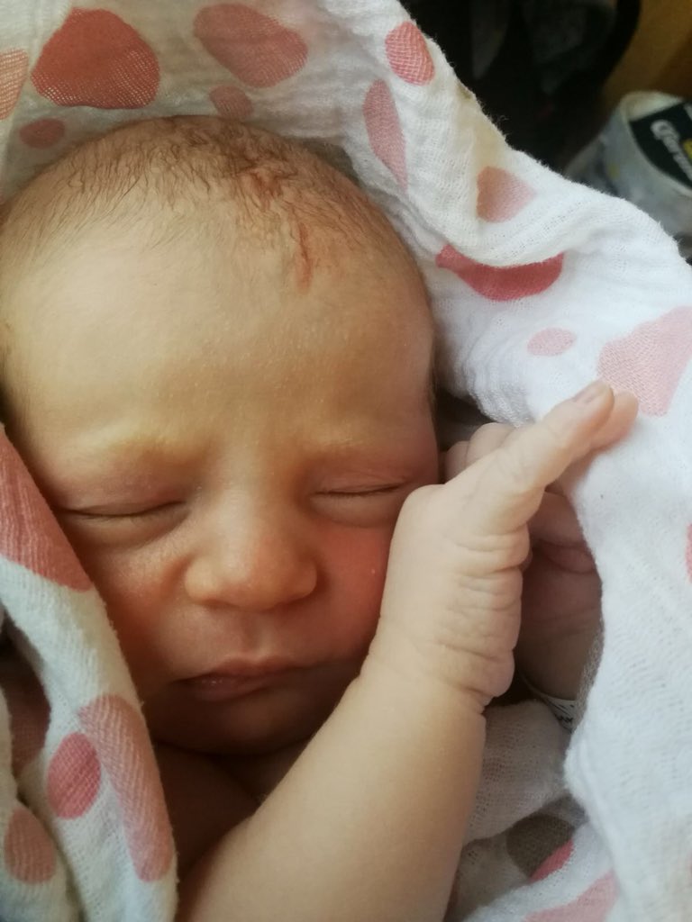 LornelMitchell's tweet photo. This happened while I was on the beach. Sienna Rose Bell was born to my oldest son Brandon & his wife Brianne. Spitting image of her Ginger Daddy. β€οΈ Heading to VanCity to meet her Friday! #NewGrandbaby #YVR #YEG #TimeToBeHappyAgain https://t.co/4QaZQkbr91