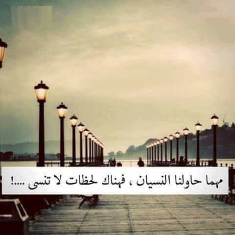 444Mnool's tweet image. 