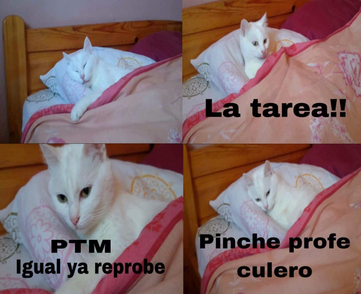 Bugie_dp's tweet photo. 😬Mi clase de las 8...

💤💤 https://t.co/qlXLbcTYGN