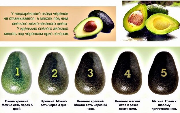 rosekoprodukt's tweet photo. А вы знаете,как выбрать спелый авокадо?🥑 https://t.co/FkZP9Oz1Ko