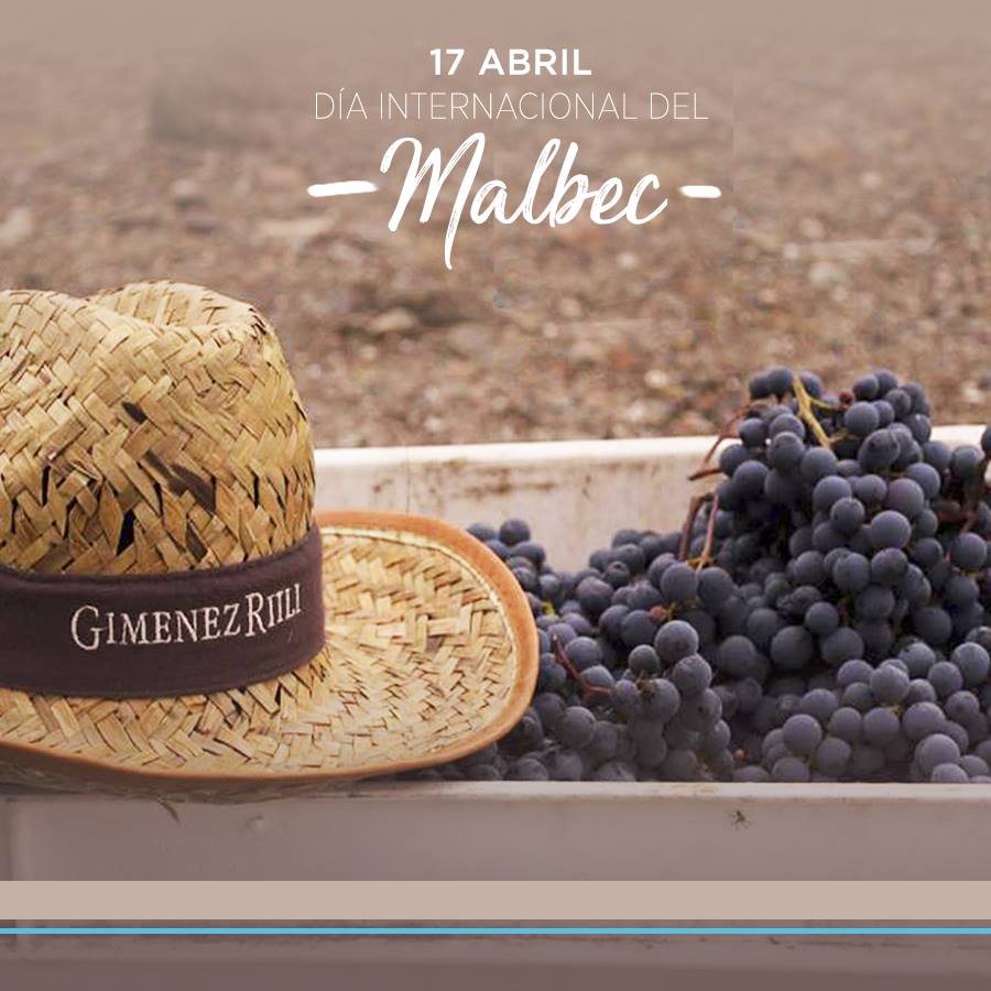 BODEGA GIMENEZ RIILI tweet media