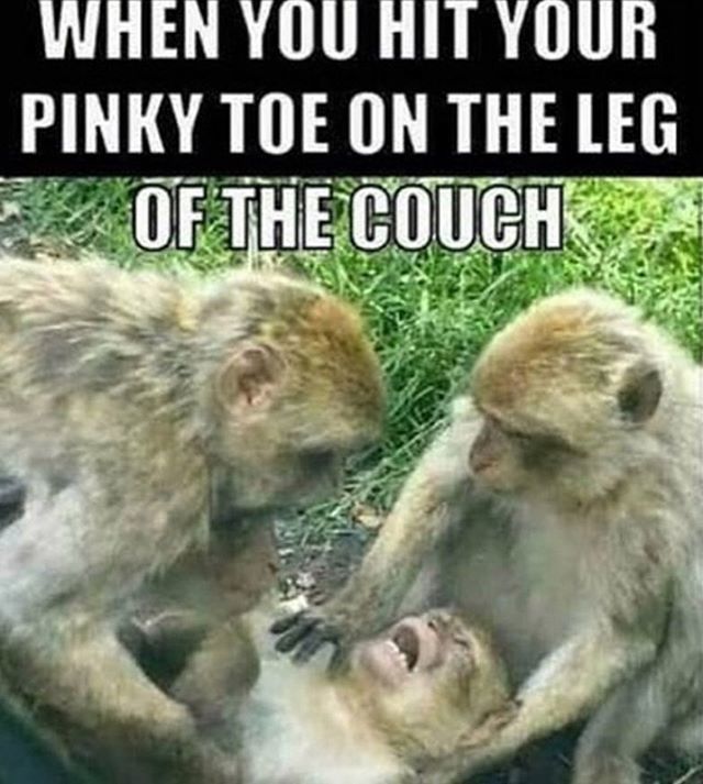 RedneckFuel's tweet image. Visit: RedneckRocketFuel.com