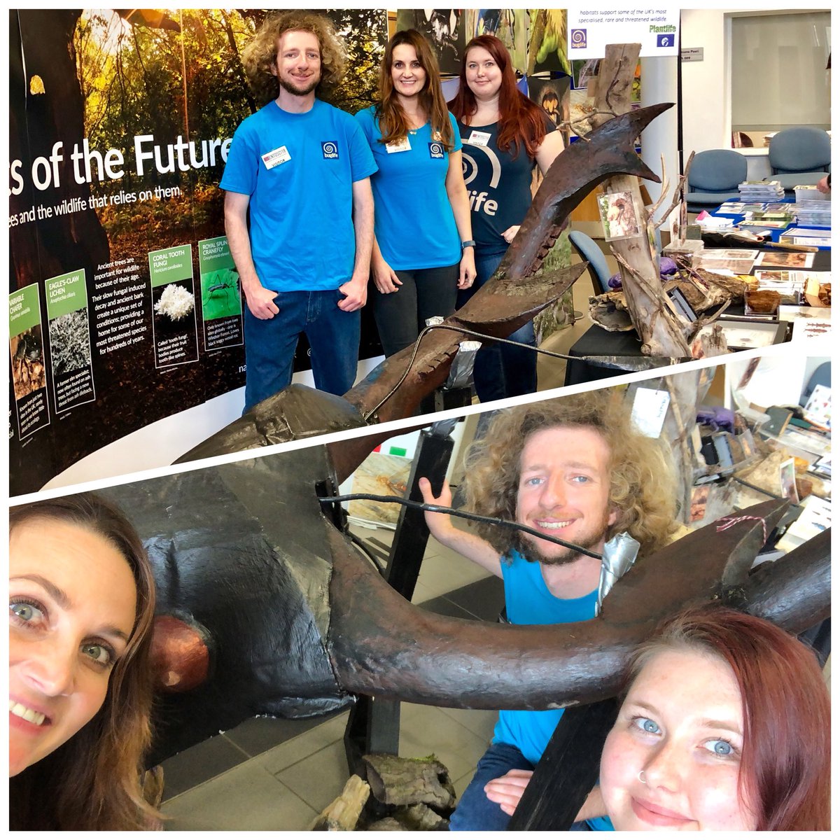 sarahhenshall's tweet photo. Team @Buzz_dont_tweet #EntoSci18 selfie with #StanTheStag @NatureBftB @RoyEntSoc https://t.co/mcGUF8Vtox