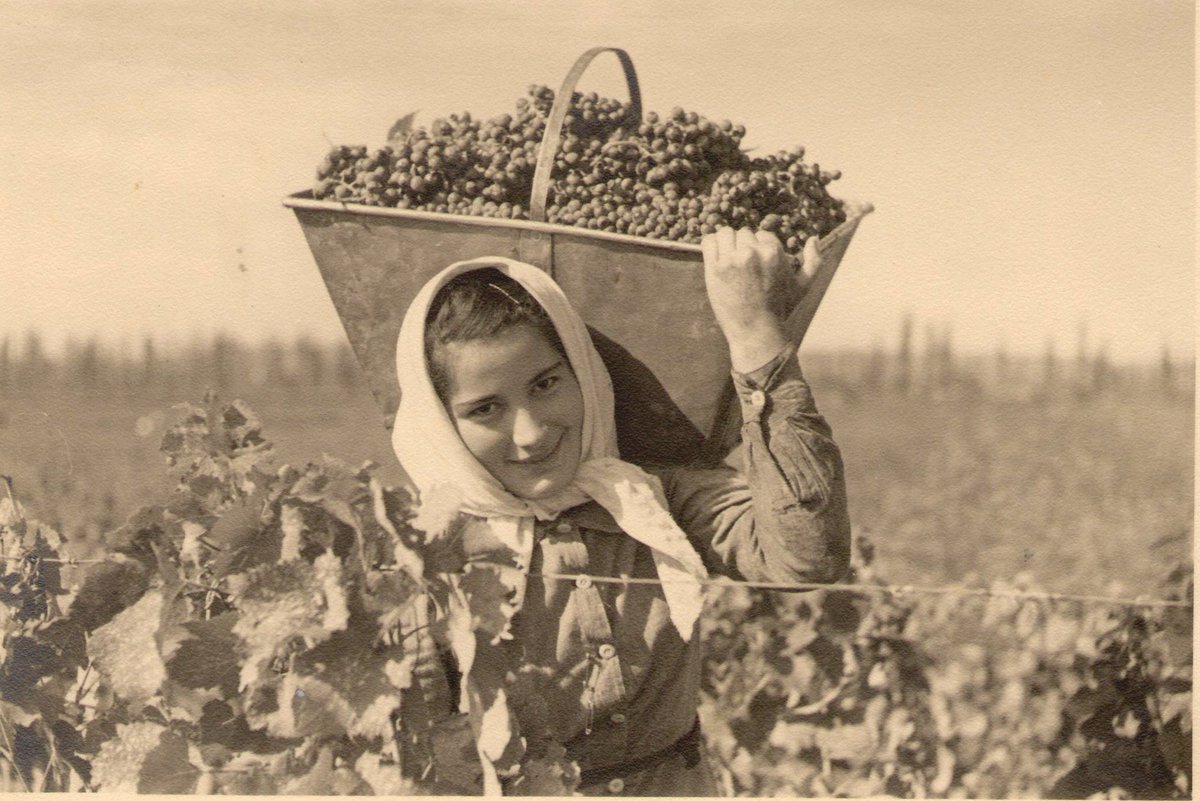 Pablo Ponce Tiviroli tweet media