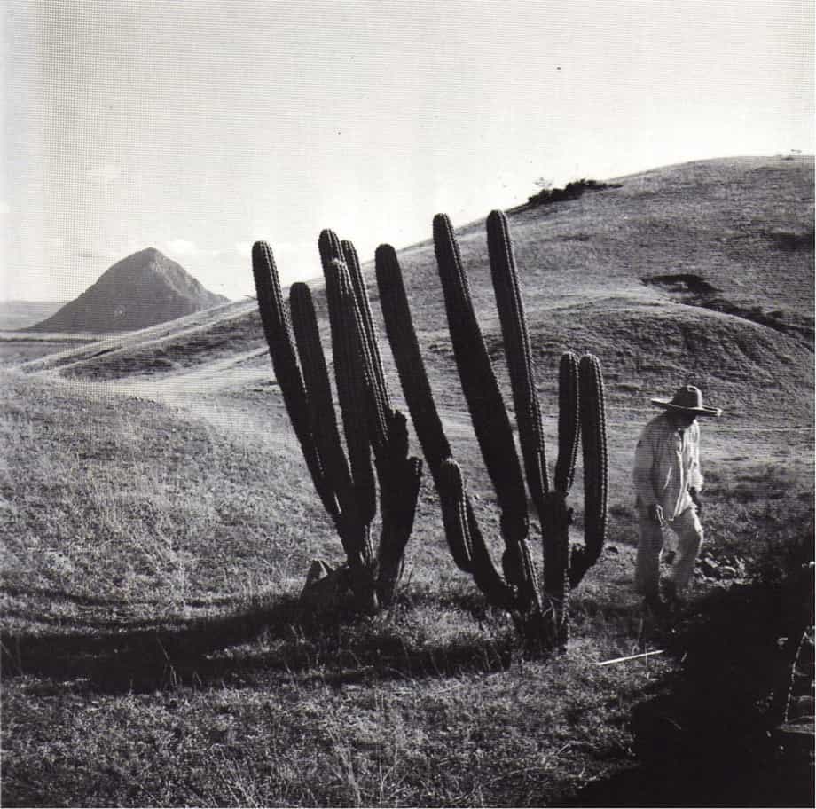 Carlalam94's tweet photo. Juan Rulfo y la fotografía. https://t.co/eeDjWjl0Xd