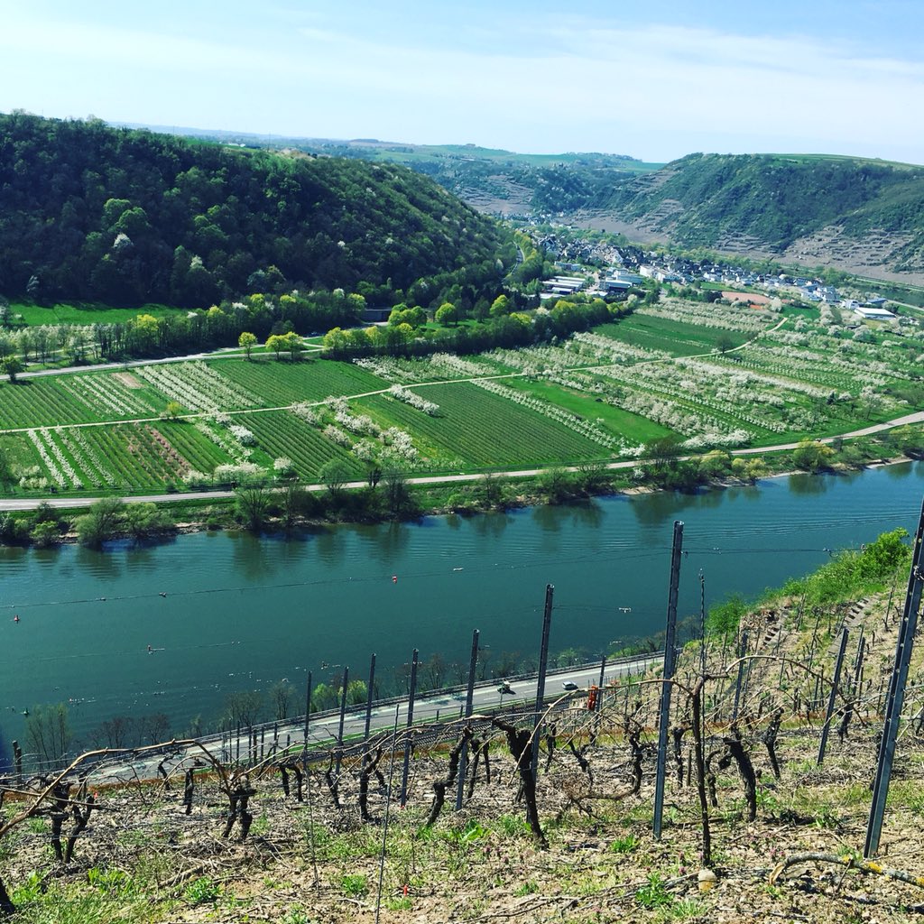 HanzoMagic's tweet photo. #Germany #Europe #travel #coach #journey #pretty https://t.co/JZPAlKDkcB