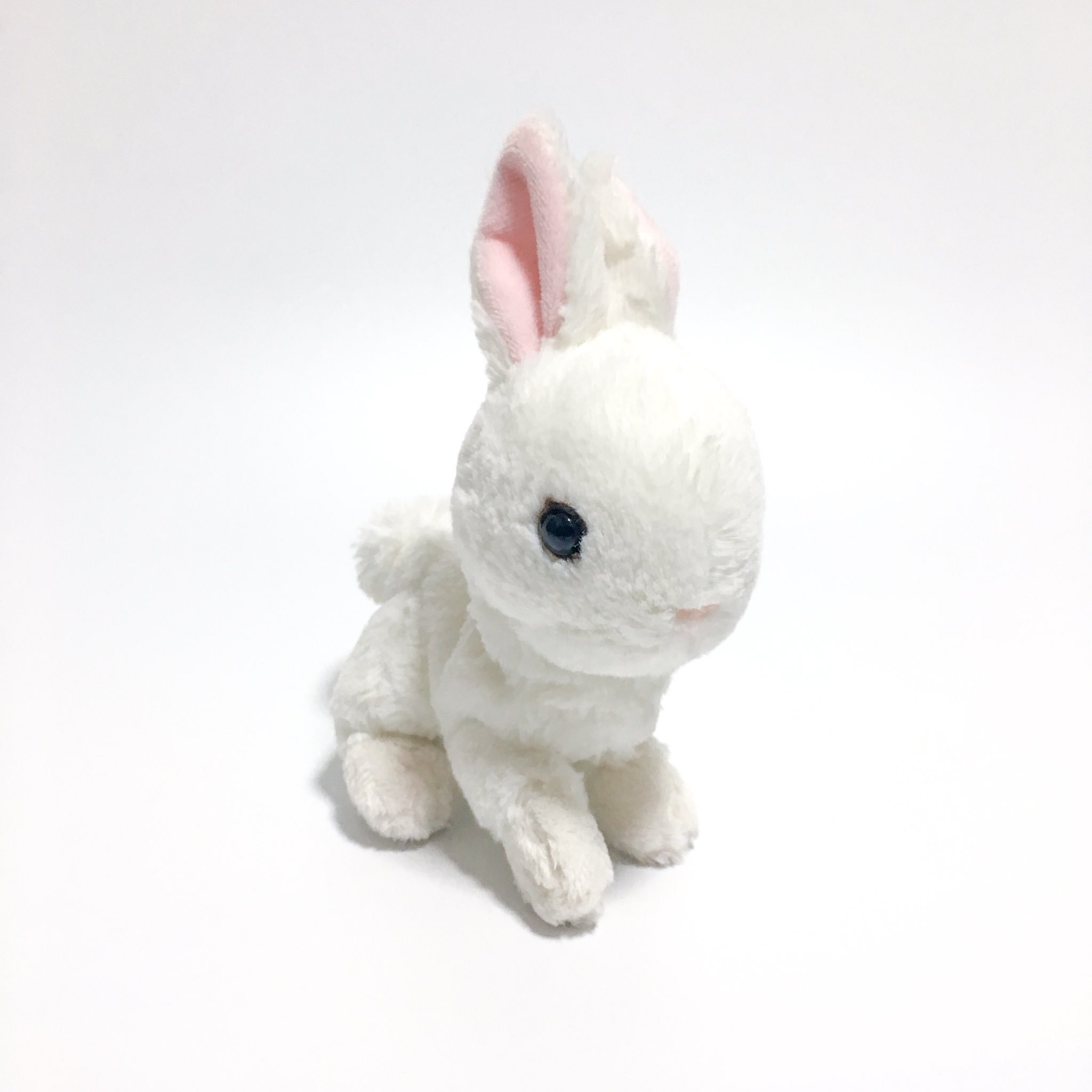 うさぎのぬいぐるみわーるど En Twitter サンレモン社のフラッフィーズシリーズのうさぎさんsサイズ クタクタしてとても可愛いしろうさぎさん みんな仲良しです 新作の子も早くお迎えしたいです ぬいぐるみ うさぎ うさぎのぬいぐるみ ウサギ ぬいどり