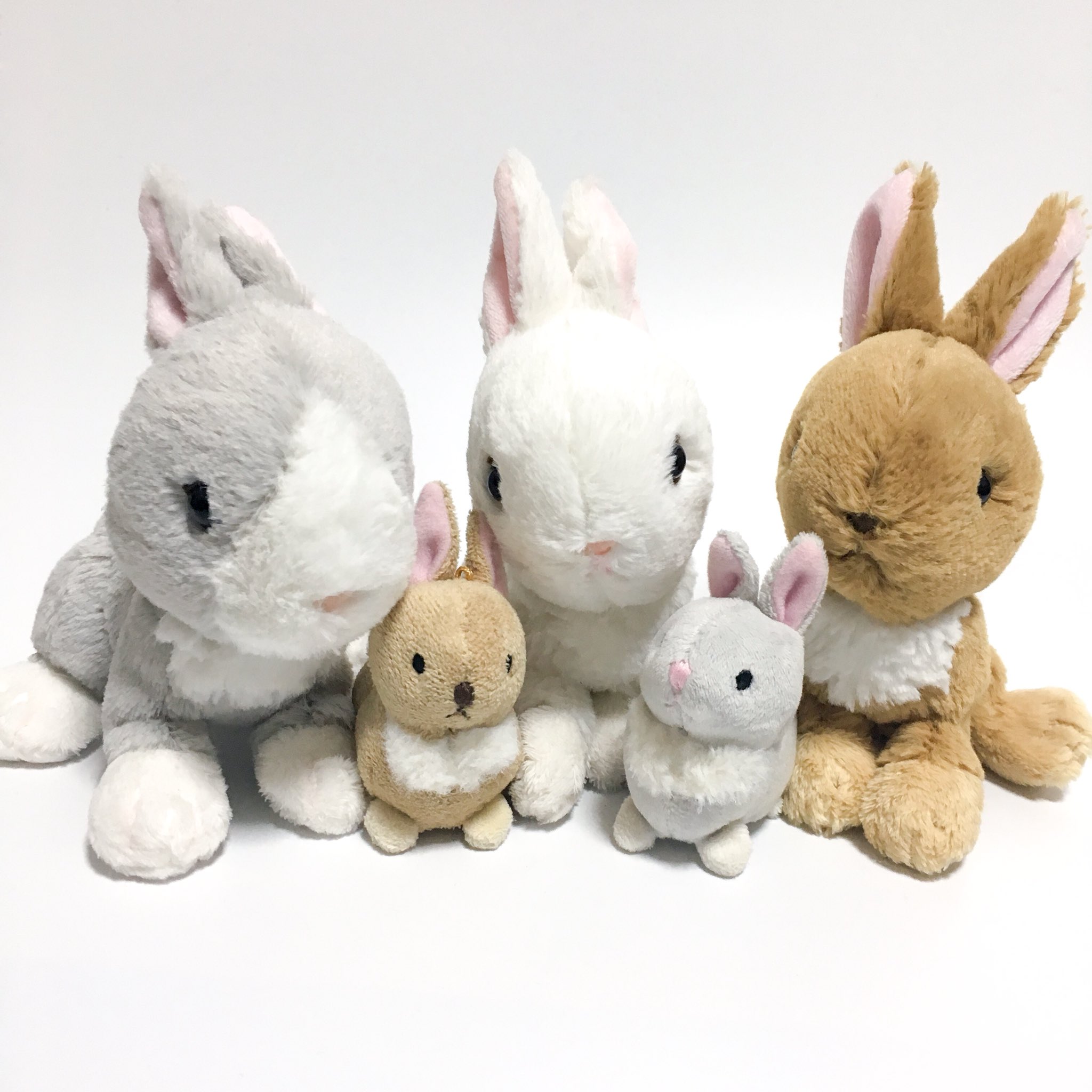 うさぎのぬいぐるみわーるど En Twitter サンレモン社のフラッフィーズシリーズのうさぎさんsサイズ クタクタしてとても可愛いしろうさぎさん みんな仲良しです 新作の子も早くお迎えしたいです ぬいぐるみ うさぎ うさぎのぬいぐるみ ウサギ ぬいどり