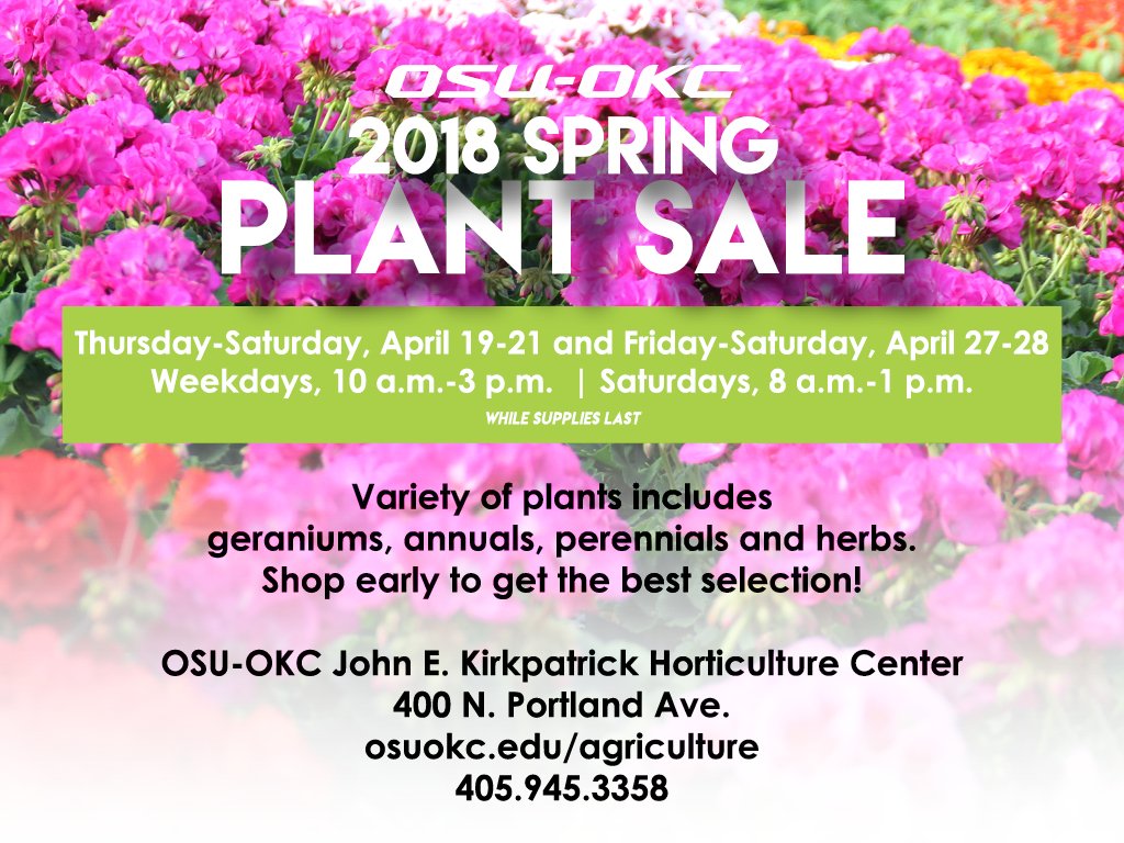 OSUOklahoma City on Twitter "Need to brighten your flower bed? Our