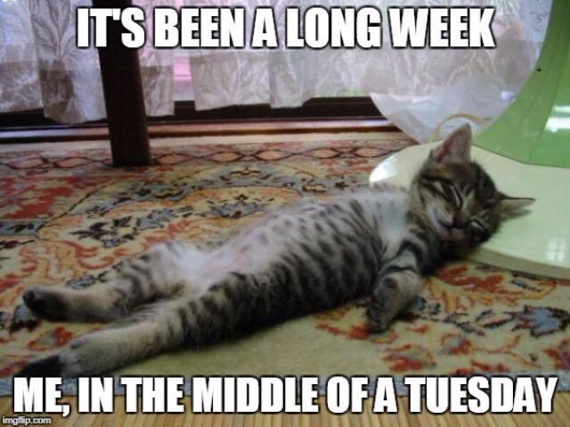 JimKilbane tweet media