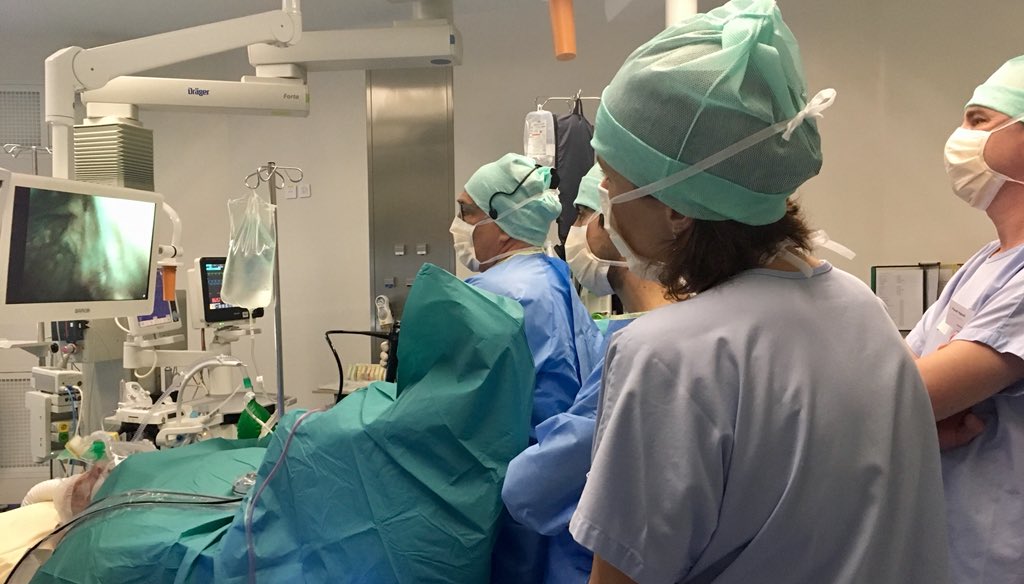 OlympusUrology's tweet photo. Two exciting days in Toulouse with lectures and live surgeries! This is the end of another great Medical Expert Training #MET on #NMIBC with Prof. Bernard Malavaud @UrologyIUCT and a group from Czech Republic. #uroczech #Training #MedicalExpertTraining https://t.co/57QALWM1du