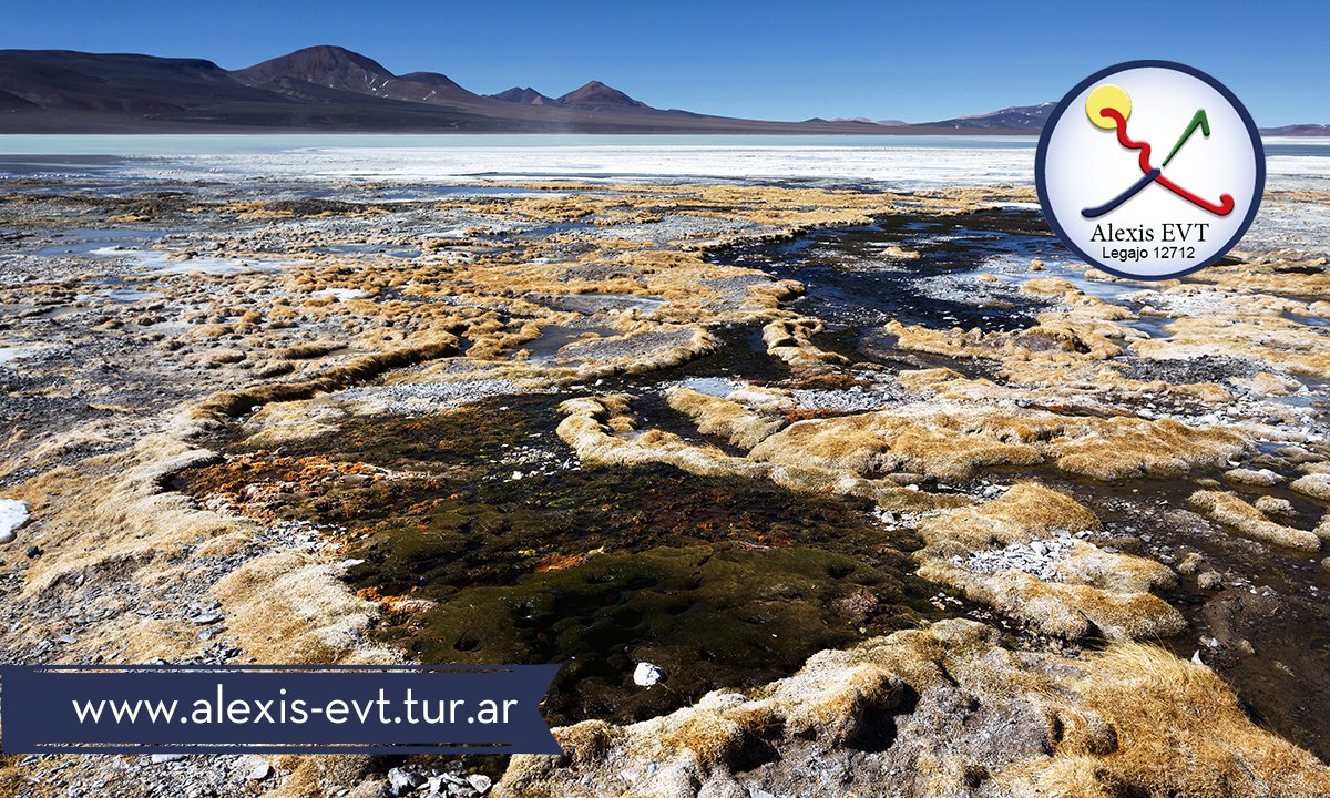 alexis_evt's tweet photo. Nuestro #Norte esta lleno de sorpresas ¡¿Que esperas para conocerlo?!

+ info Inbox 📩 o whats app 📲 https://t.co/ZxSCPuQ1Jq ✌️ https://t.co/hdDySjsfEC