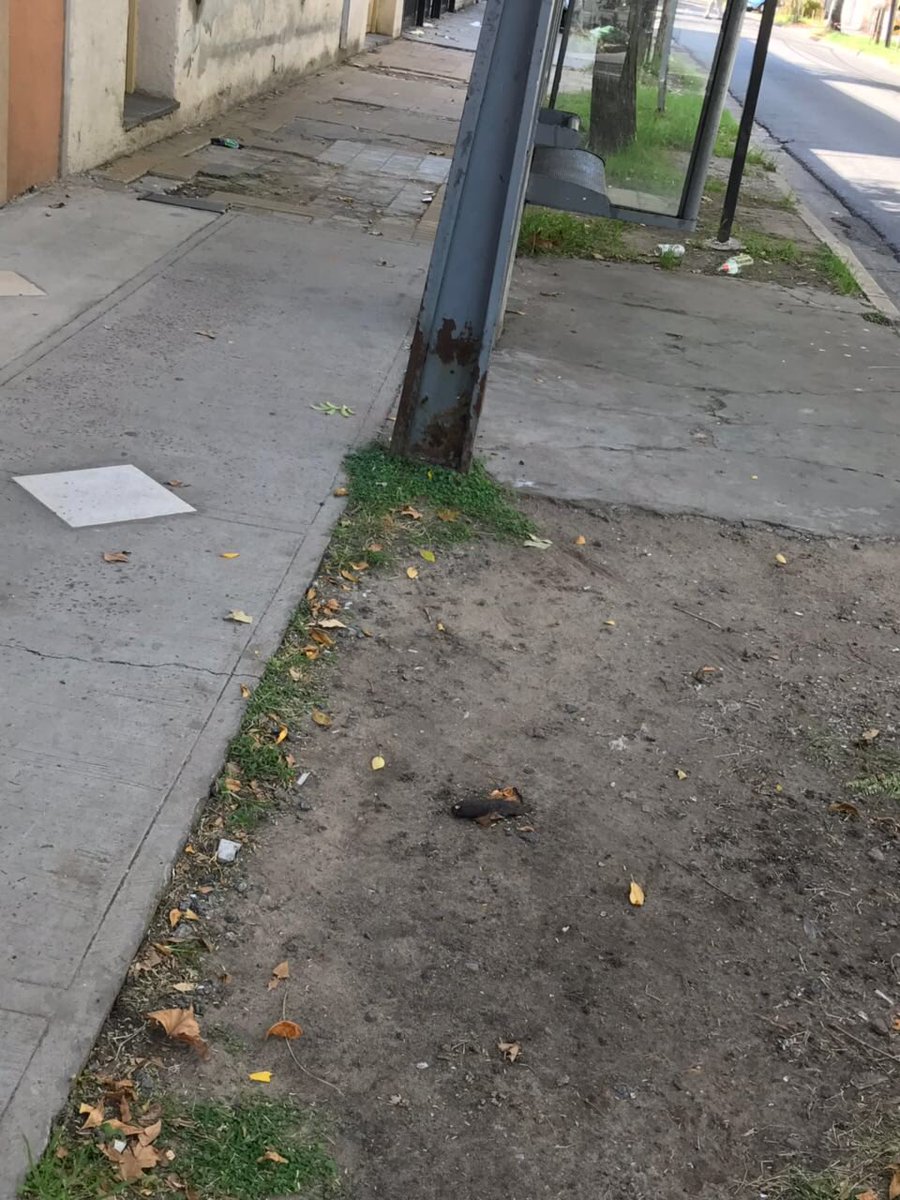 FerchoMU's tweet photo. Por si se olvidaron de esta parte de VL @HUMVL y también recordar que la parada d colectivo no tiene basurero donde cada día la gente deja su mugre  Srs @jorgemacri @andrespetrillo @sergiobotellovl @eniovittorini @soledadmartinez ustedes tienen una parada de colectivo en su casa? https://t.co/IOBfF4bWuY