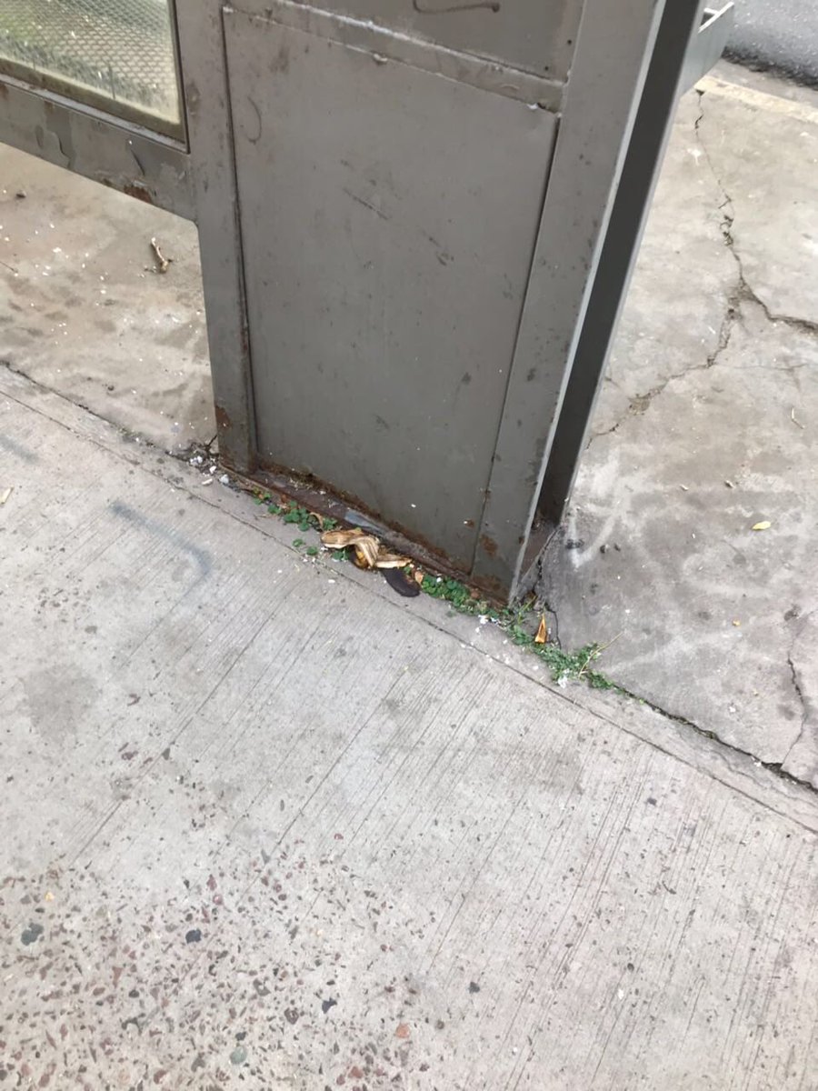 FerchoMU's tweet photo. Por si se olvidaron de esta parte de VL @HUMVL y también recordar que la parada d colectivo no tiene basurero donde cada día la gente deja su mugre  Srs @jorgemacri @andrespetrillo @sergiobotellovl @eniovittorini @soledadmartinez ustedes tienen una parada de colectivo en su casa? https://t.co/IOBfF4bWuY