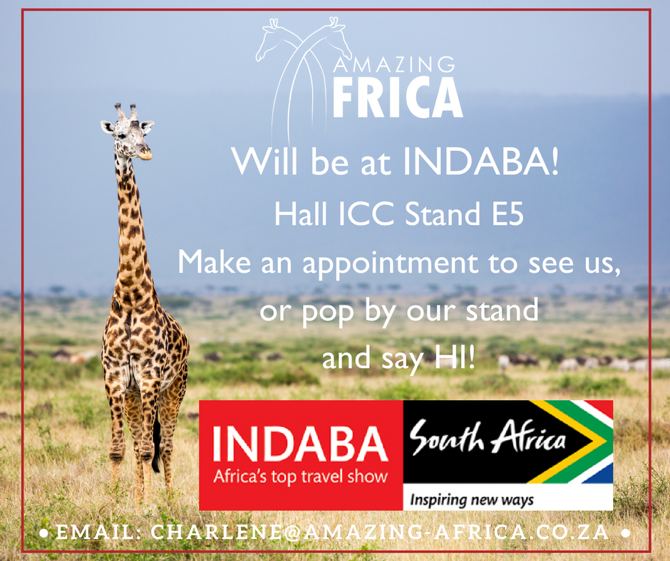 #Indaba2018 is around the corner, 8 - 10 May. @AmazingAfricaSA will be there. Contact us to make an appointment! 

#traveltrade #travelindustry #travelfair #indaba #meetsouthafrica @SATravelTrade