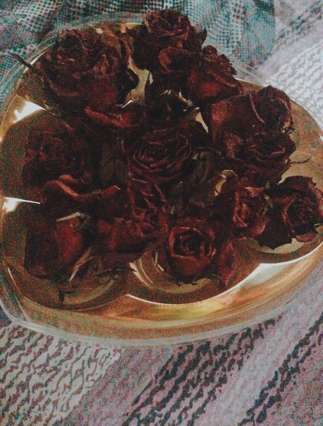 imshaunengneng's tweet photo. Keeping the flowers at the same time the container ๐ค๐Haha! #memoryhoarder #keepingitinanotherway https://t.co/tTs6DDZtBo