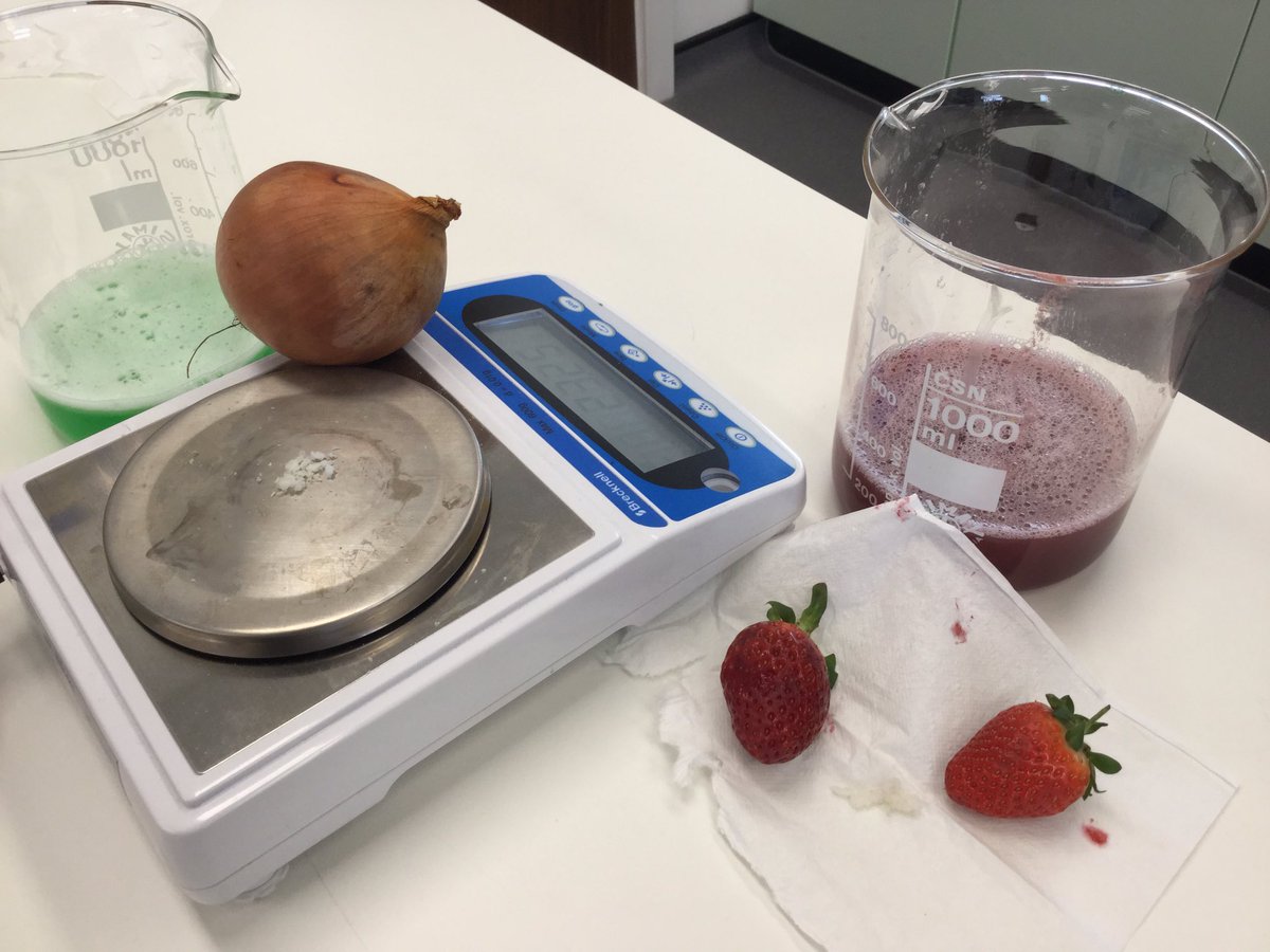 rh7science's tweet photo. Yr 12 extracting DNA from strawberries and onions. Strawberries were the best! @radnorsevenoaks #DNA https://t.co/15LoSzxWxx