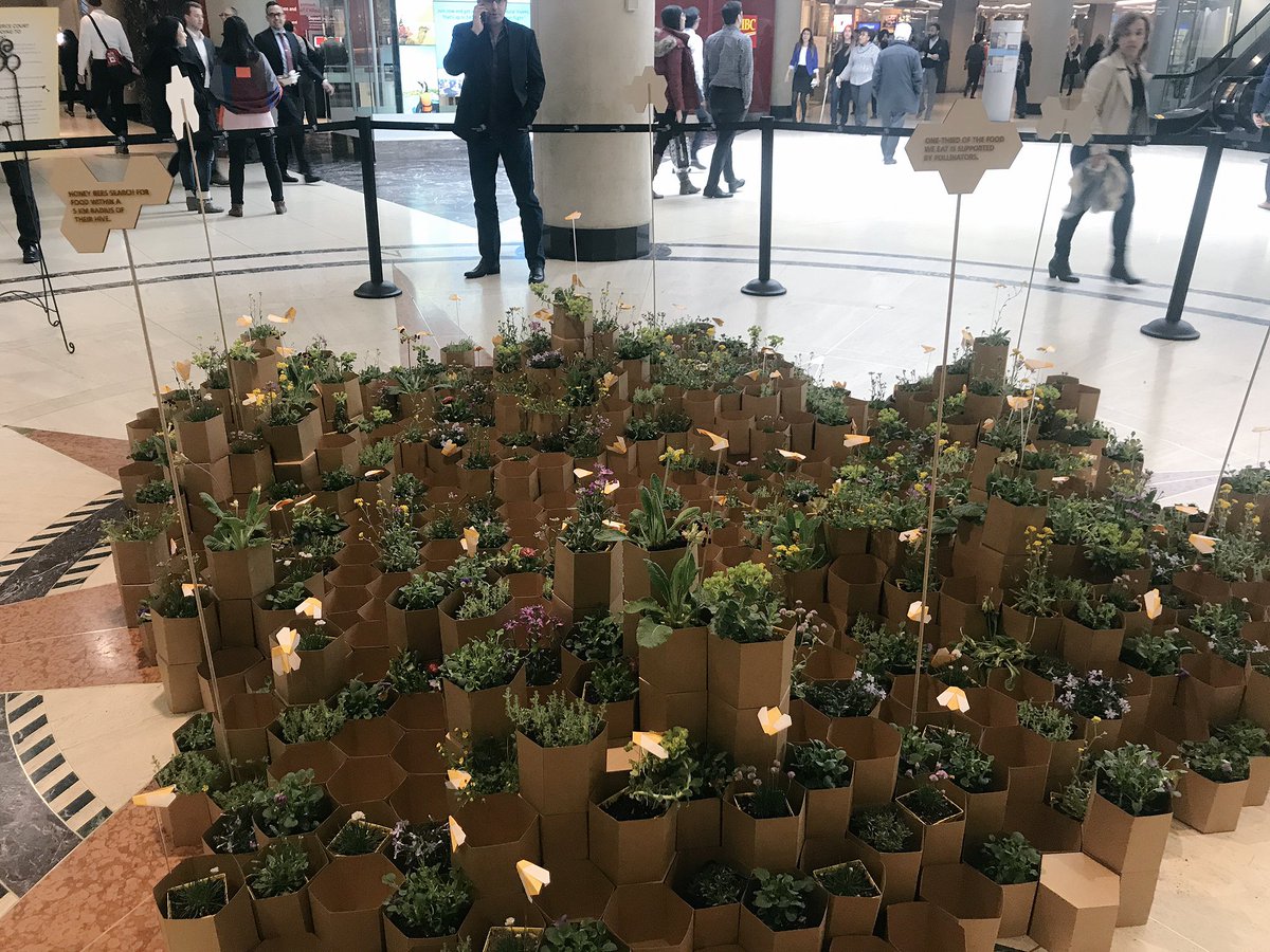 Toronto Financial District BIA tweet media