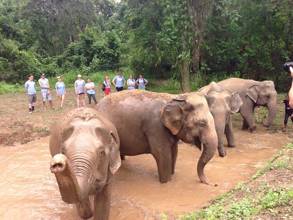 smithsoniansas's tweet photo. #WouldYouRather--Play with rescue #elephants OR explore bat caves in #Thailand https://t.co/mKU2dkue7o