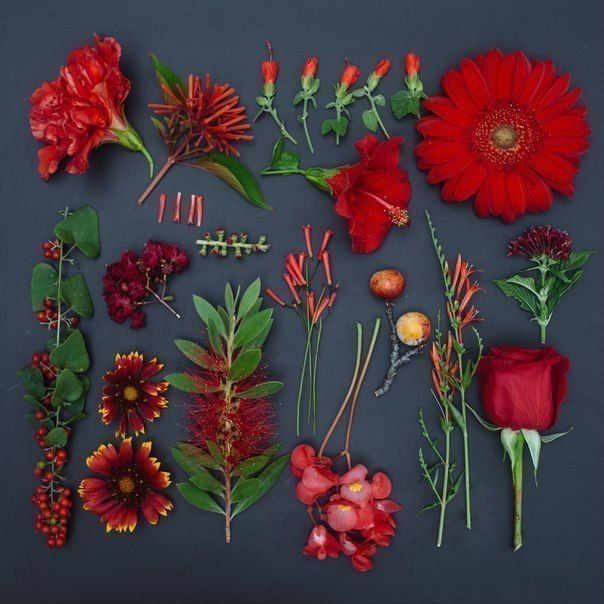rozariycom's tweet photo. За что мы любим весну? Почему ждем лето? 🌸🌷 https://t.co/S4sGK1bvoN
