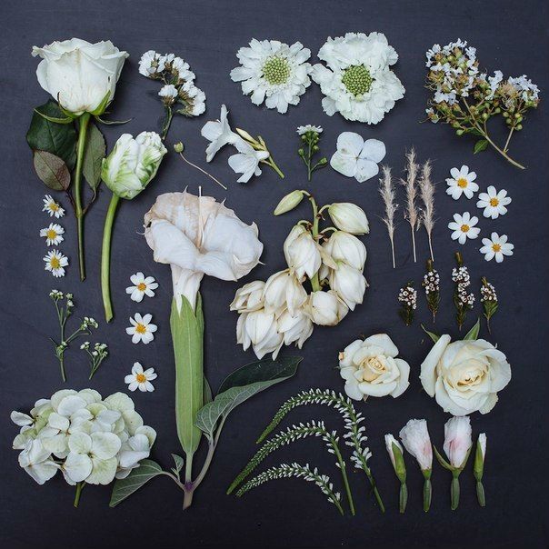 rozariycom's tweet photo. За что мы любим весну? Почему ждем лето? 🌸🌷 https://t.co/S4sGK1bvoN